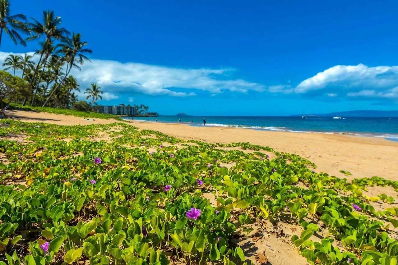 维雷亚Maui Banyan By Coldwell Banker Island Vacations公寓 公寓 维雷亚